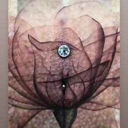4ur3ad4C0sta coroa do insta piercing