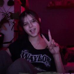 drei Hunde haben ihre Jungfräulichkeit gestohlen