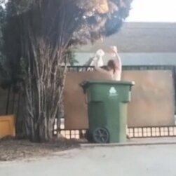 Naked DoorDash Pickup Slut Needs A Tip