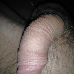Lonely cock