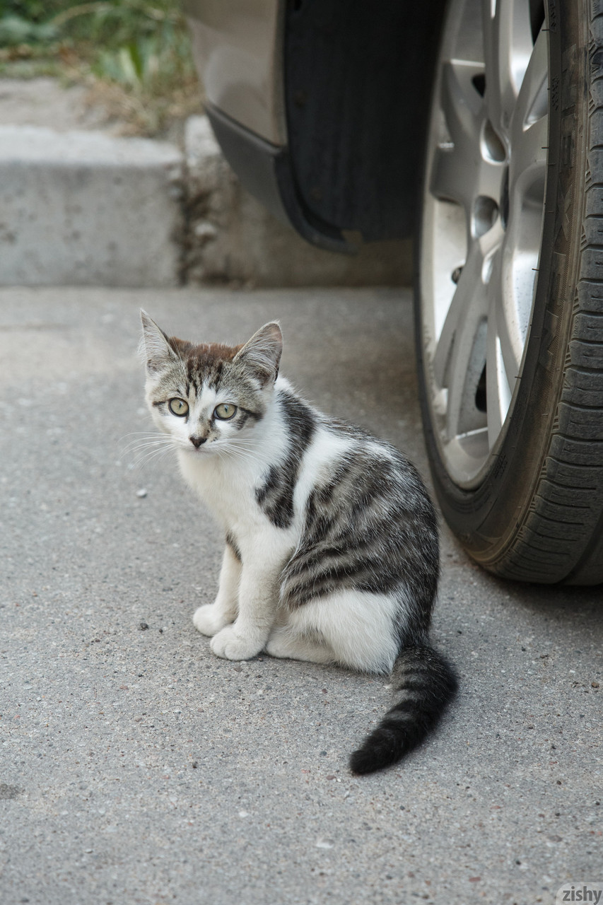 Russian Katya Timakova Strips Shorts for Naughty Garden Show Russian Katya Timakova Strips Shorts for Naughty Garden Show