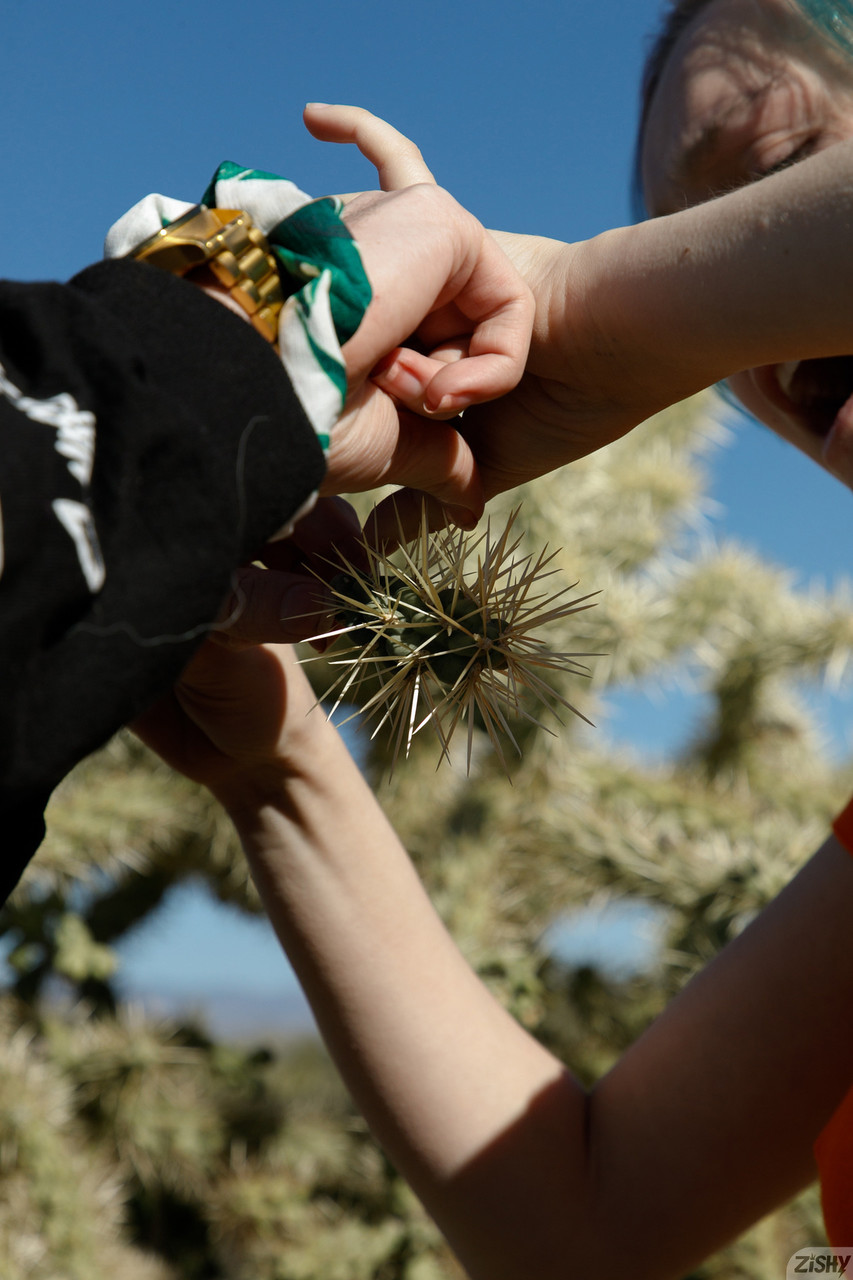 Novice tinny Vonnie Bean zeigt ihre großen Juggs und große Hintertür in einem Solo Novice tinny Vonnie Bean zeigt ihre großen Juggs und große Hintertür in einem Solo