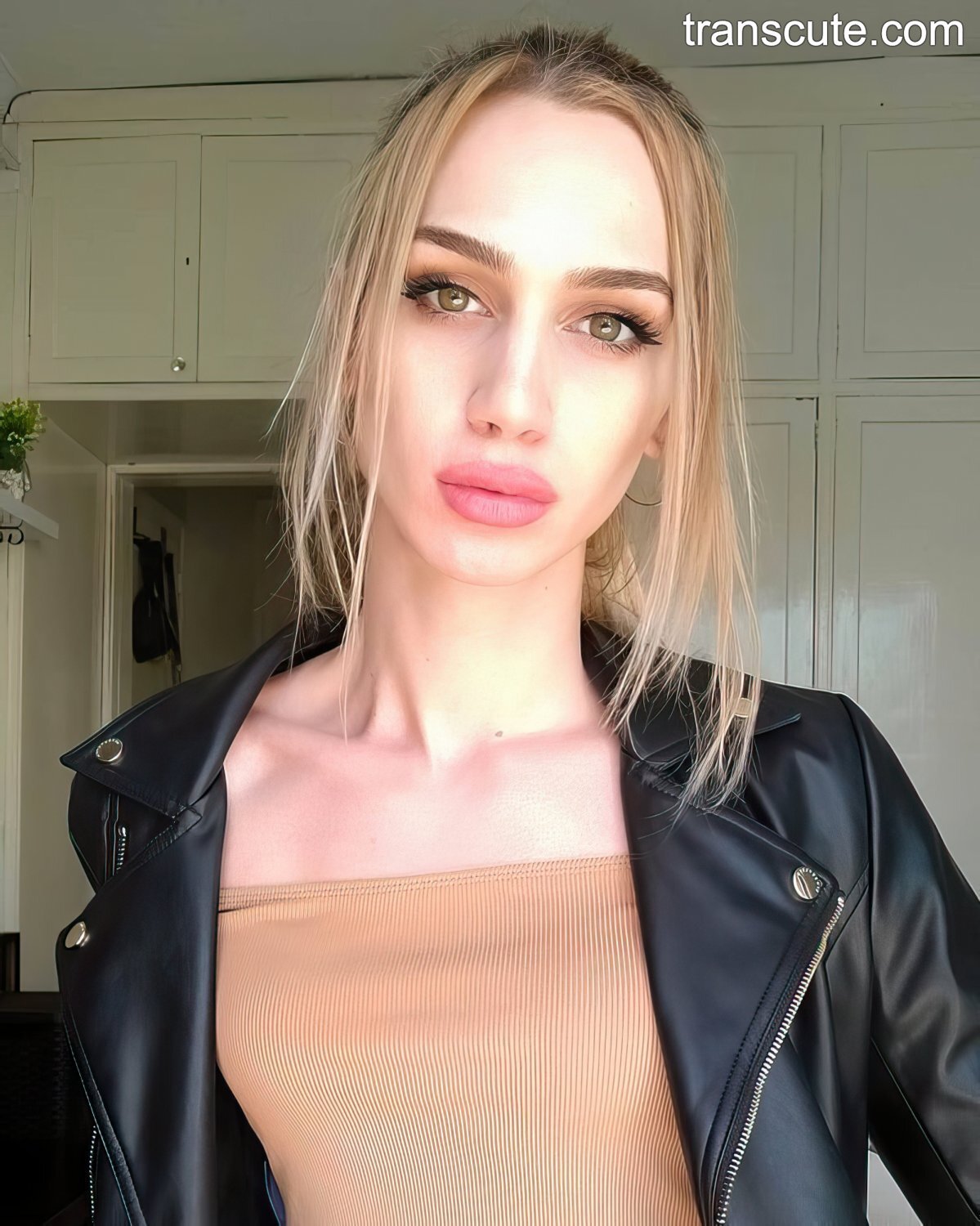 Un transsexuel aux cheveux clairs aime la BBC 2