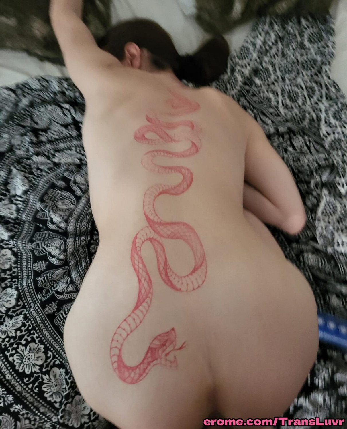 Mini Brązowowłosa Trans Lubi BBC W Stylu Pieska - Shemale, Tranny, Pułapka, Ts, Tgirl, Obciąganie 15