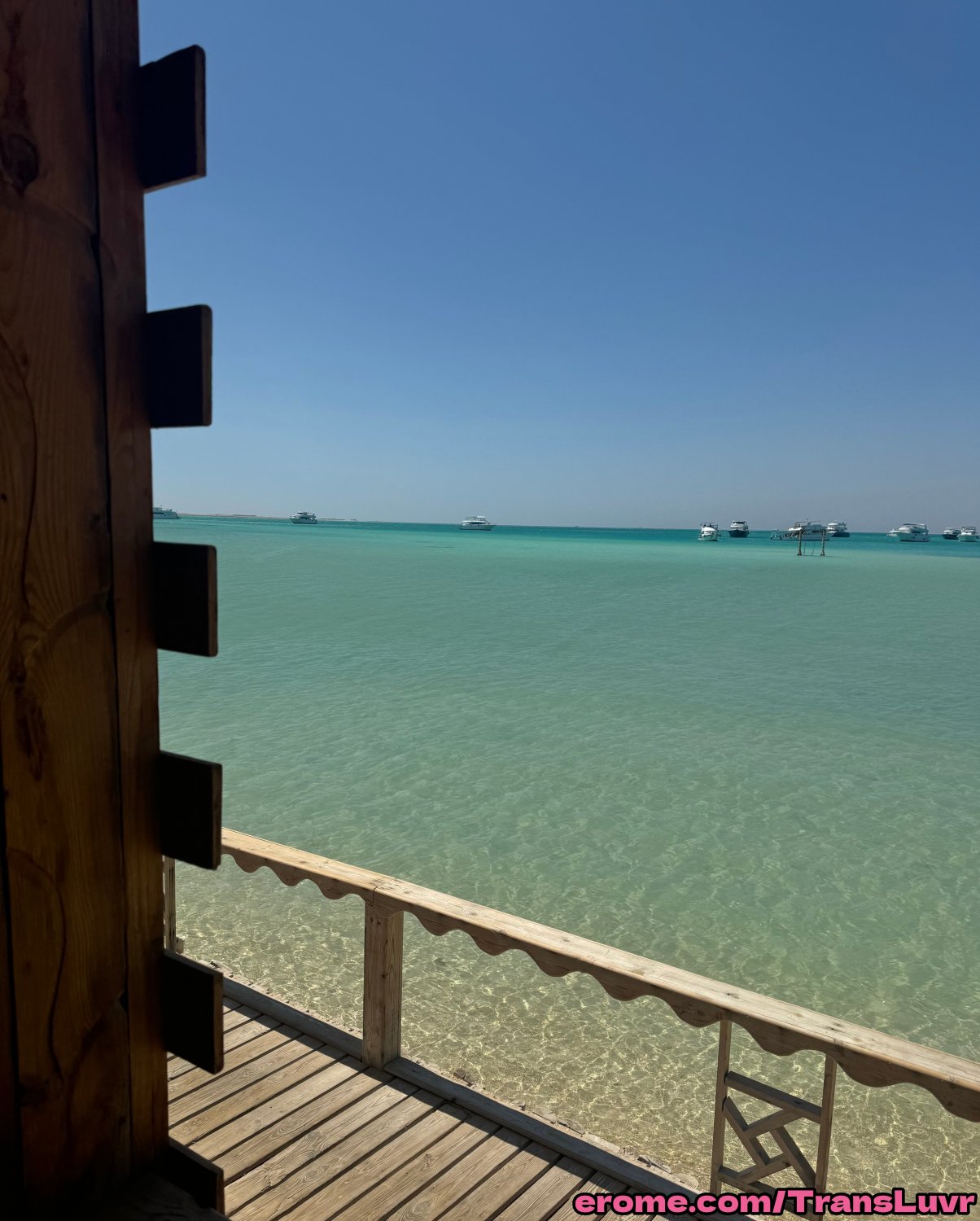 8 pollici Femboy con attraente Ace [Trans, Ts, Tgirl, Shemale, Tranny, Trap] 18