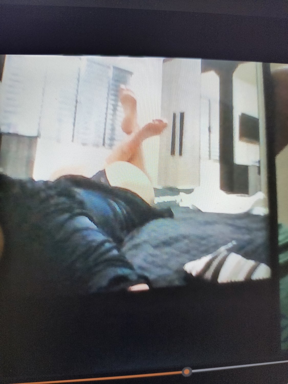 Corno exibe escondido 2