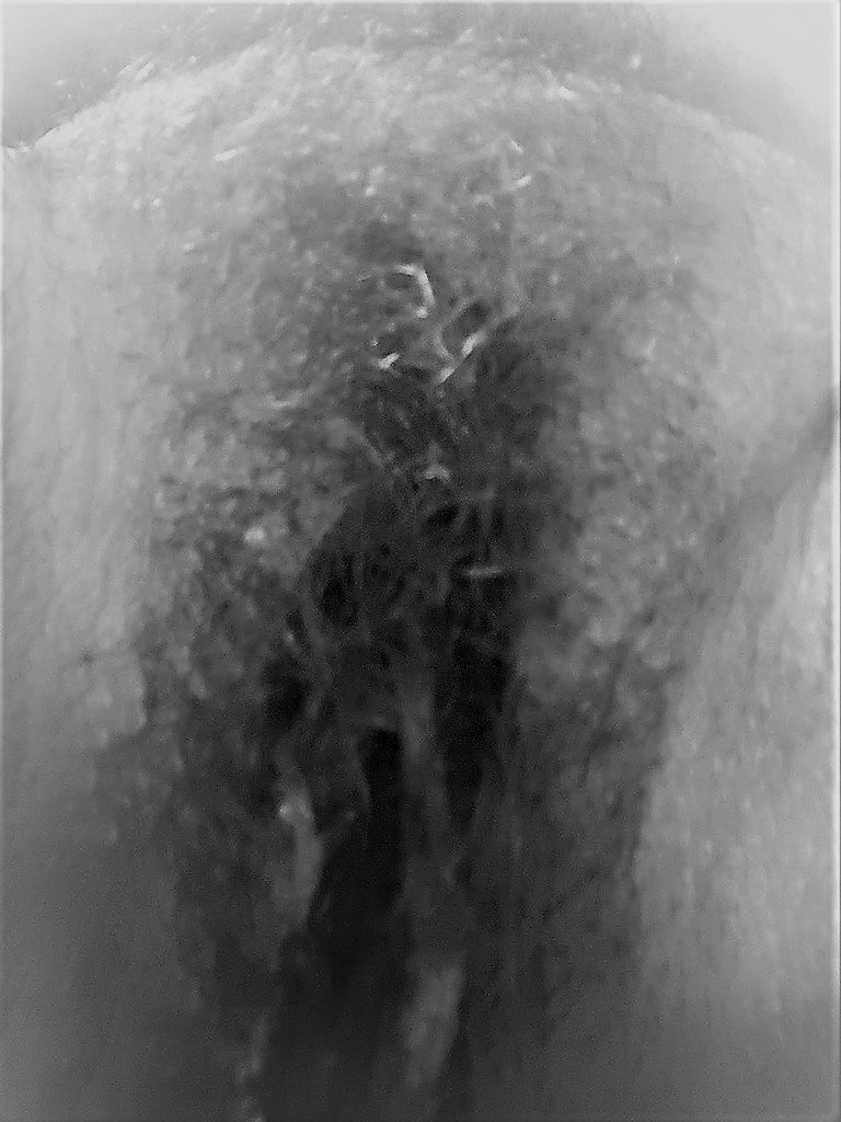 İngiliz Arap Aşüfte 33