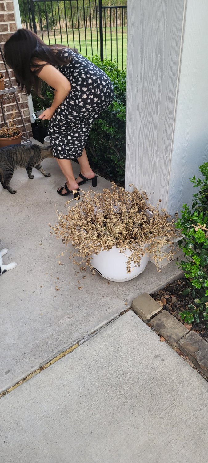 Teksaslı fahişe karısı. Onu tanıyorsan söyle. 8