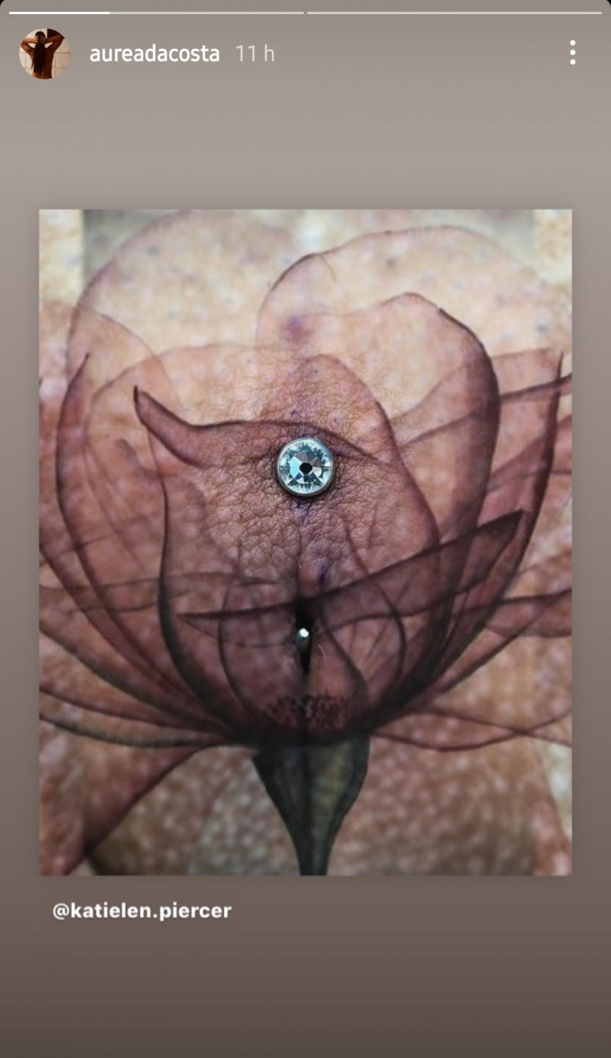 4ur3ad4C0sta coroa do insta piercing 5