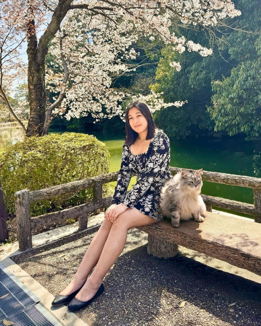 アジアン・ヘイリーズ・タイト・プッシー・ベッギング・フォア・イット 16