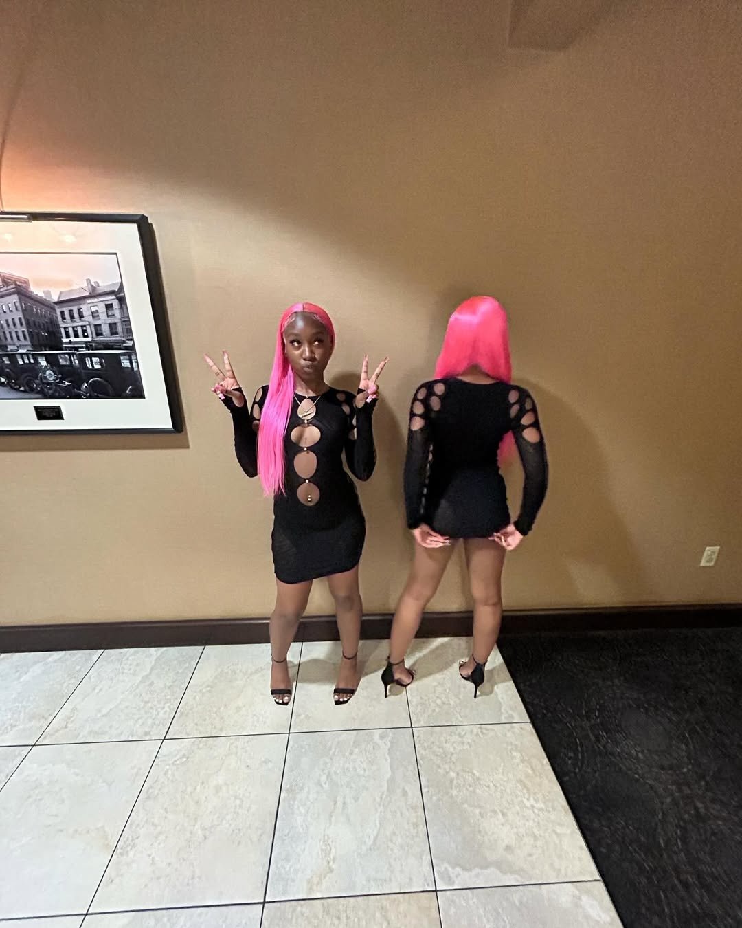 Thots de cheveux roses 68