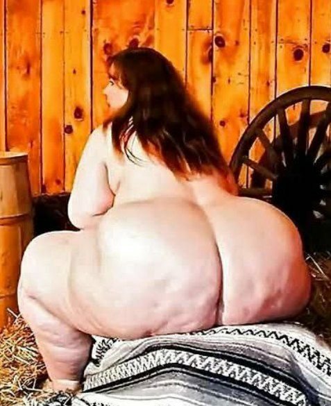 Gordas Encamables — Thick Queens Ready For Action (4381) 5