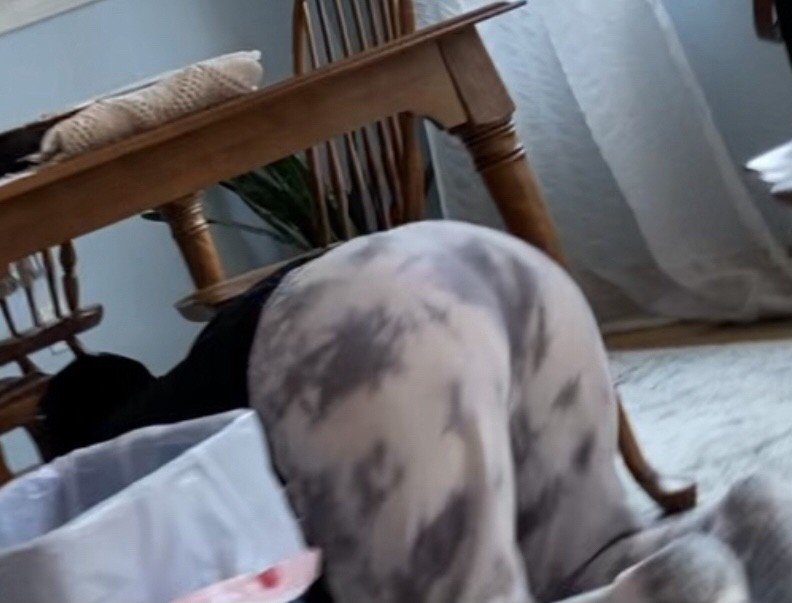 Cheating Mom Beth Worshipping And Riding Big Black Cock Like A Goddess 20