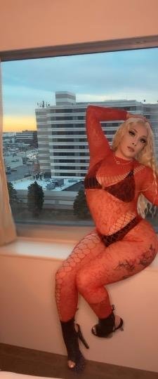 24-Year-Old Busty Mexican Blonde Escort Fucked Hard All Week Long 16
