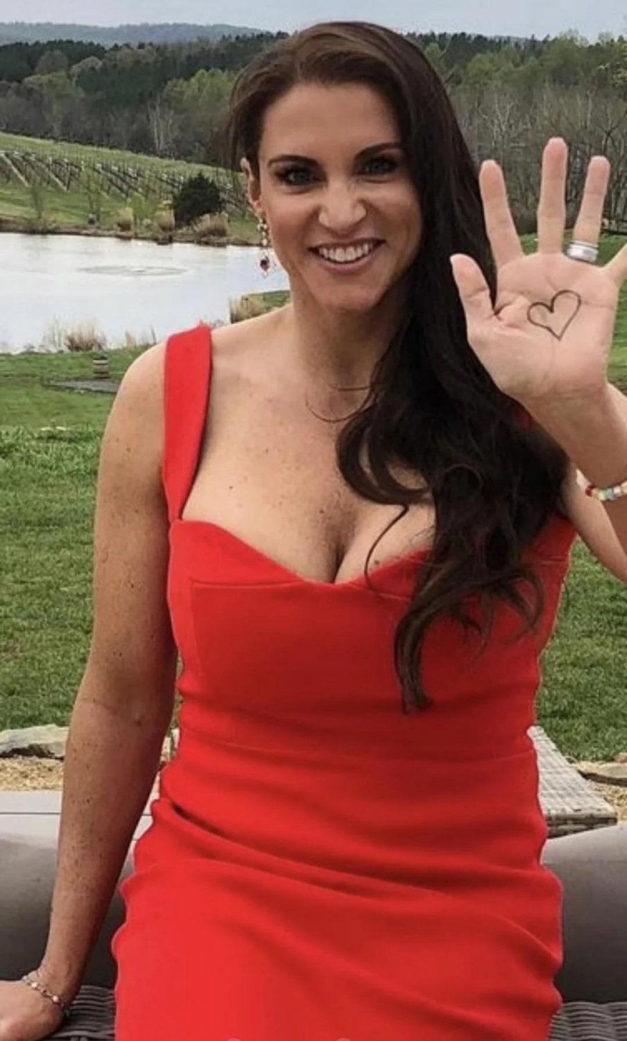 ステファニー・マクマホン — WWEミルフ・レディー・トゥ・ゲット・ファックド・ハード 39