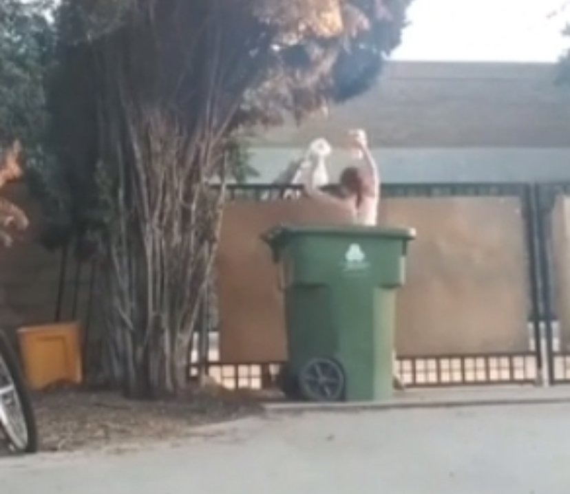 Naked DoorDash Pickup Slut Needs A Tip 1