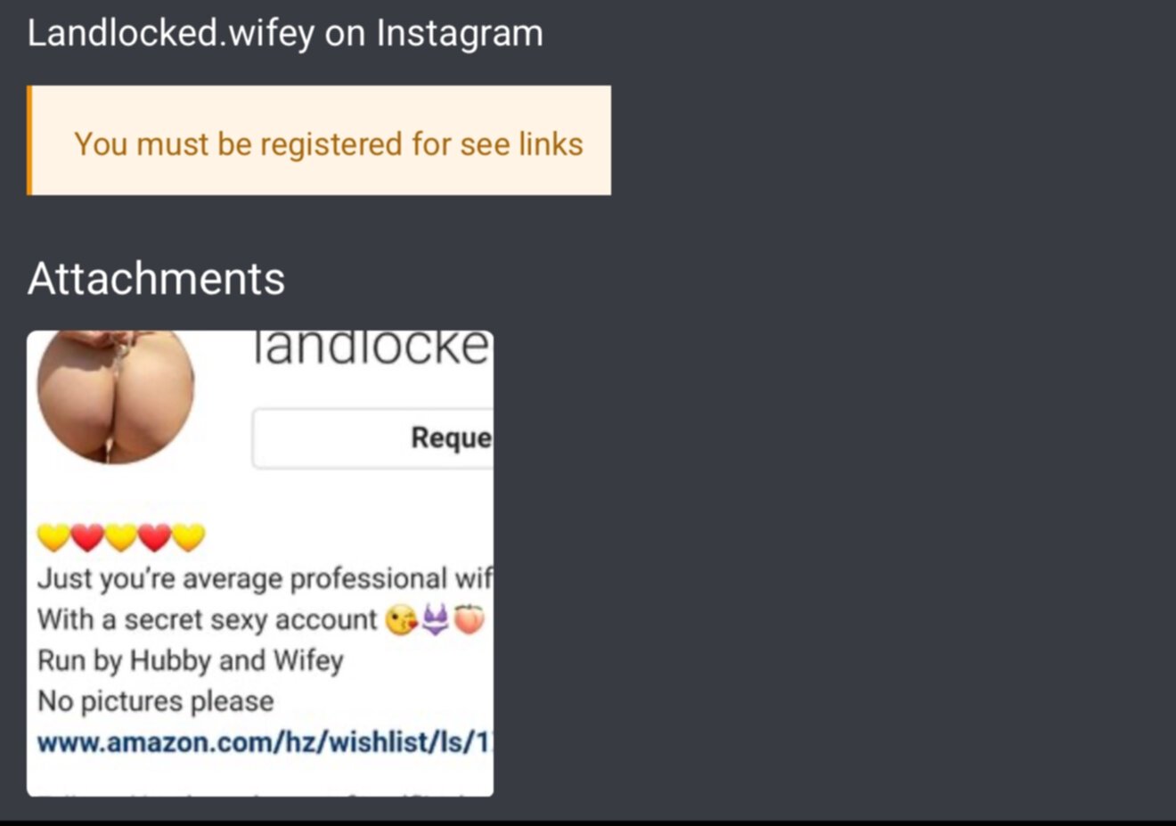 スージー・ドリームズ・オブ・ビカミング・ジ・アルティメット・ウェブスラット 49