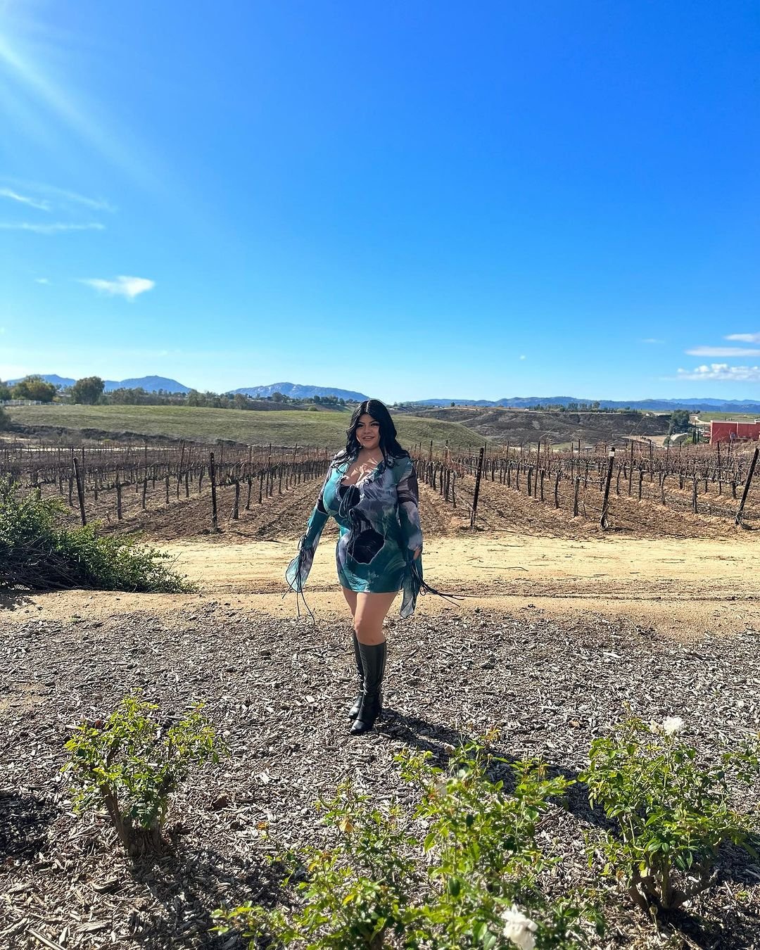 M4ギーベット—カーヴィーブルネットMILF 36