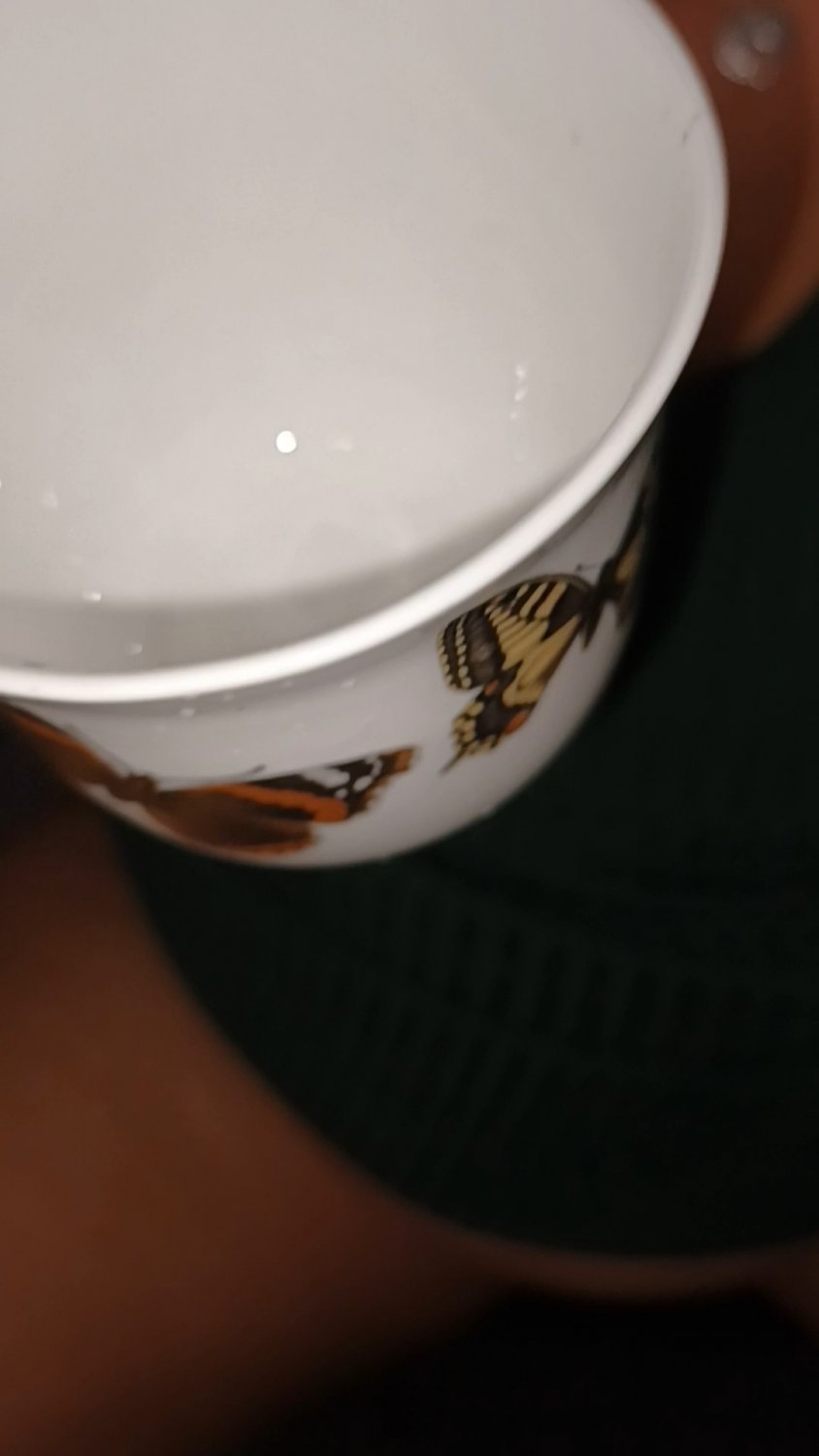 Quirky Tea Party With Granny—Wild Fun 3