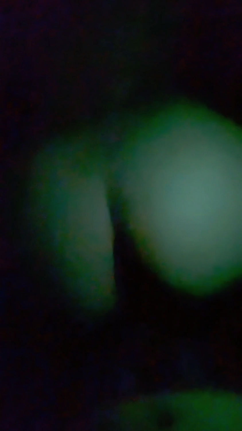 Wonderful Latina Bubble Ass Taking Wet Hard Backshots 8