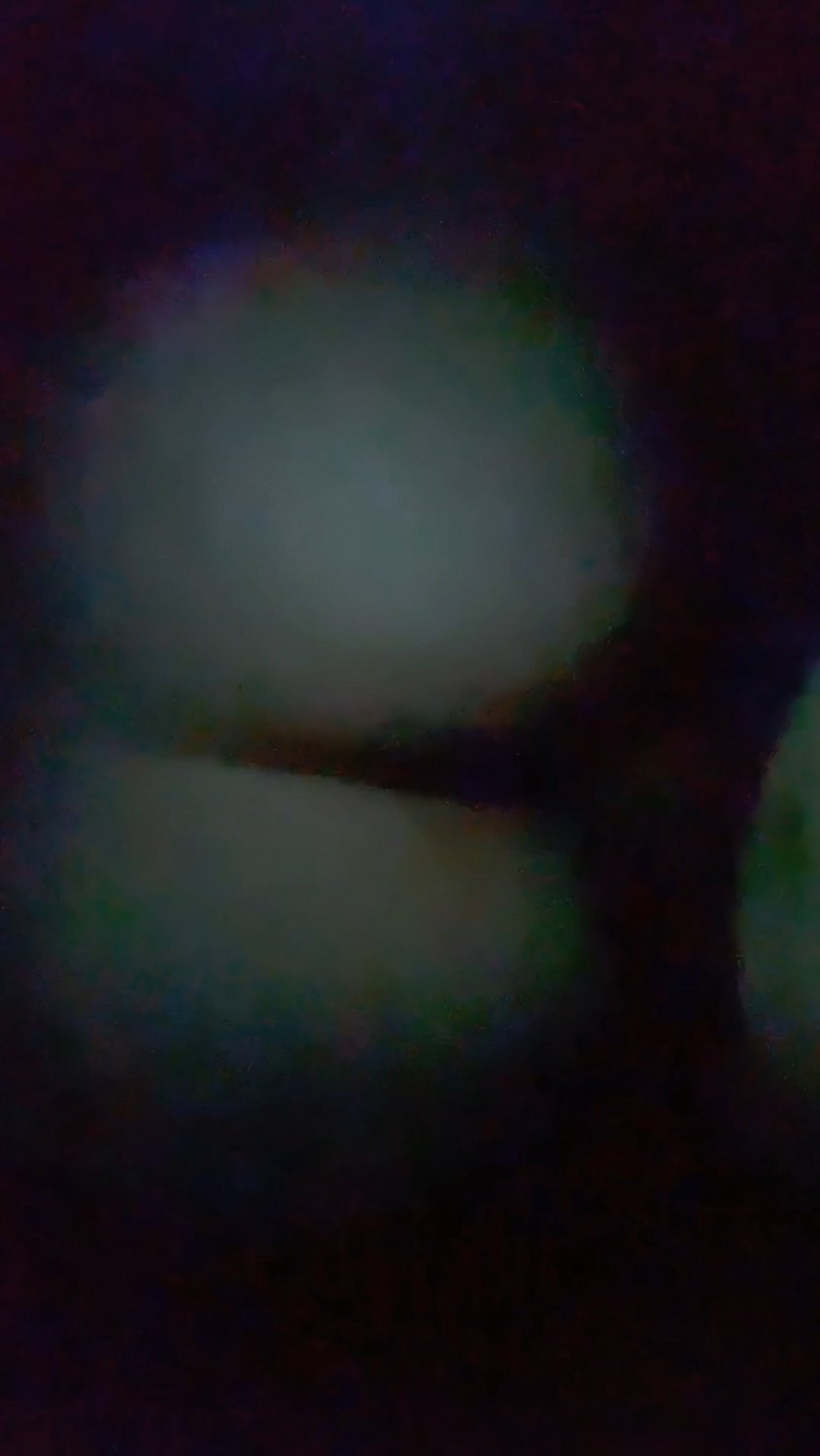 Wonderful Latina Bubble Ass Taking Wet Hard Backshots 10