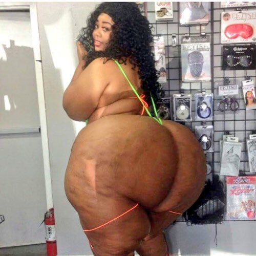 Thick BBL Booties Shaking and Begging to Be Spanked 6