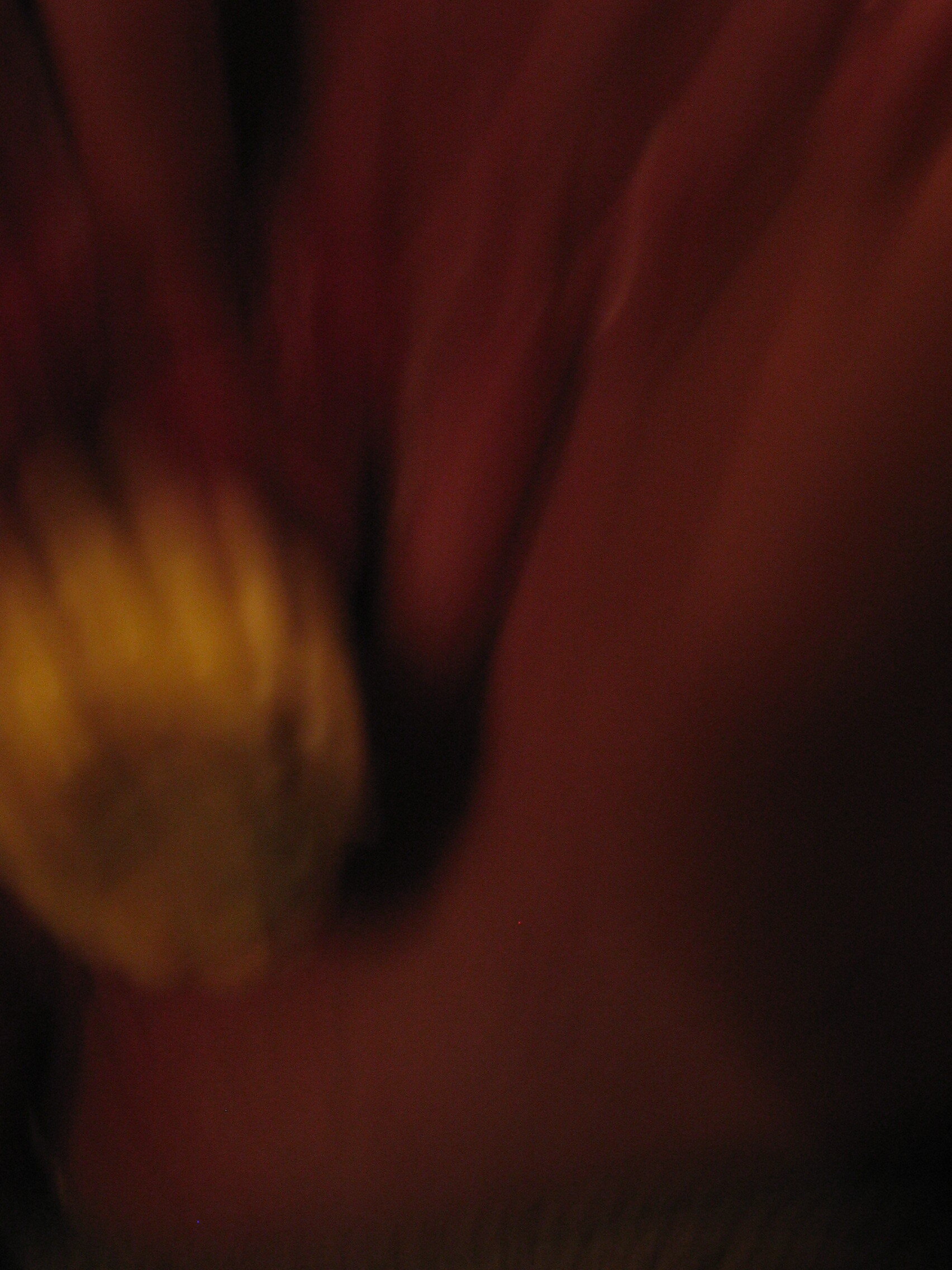 tammy with bottle and corn cobb 76