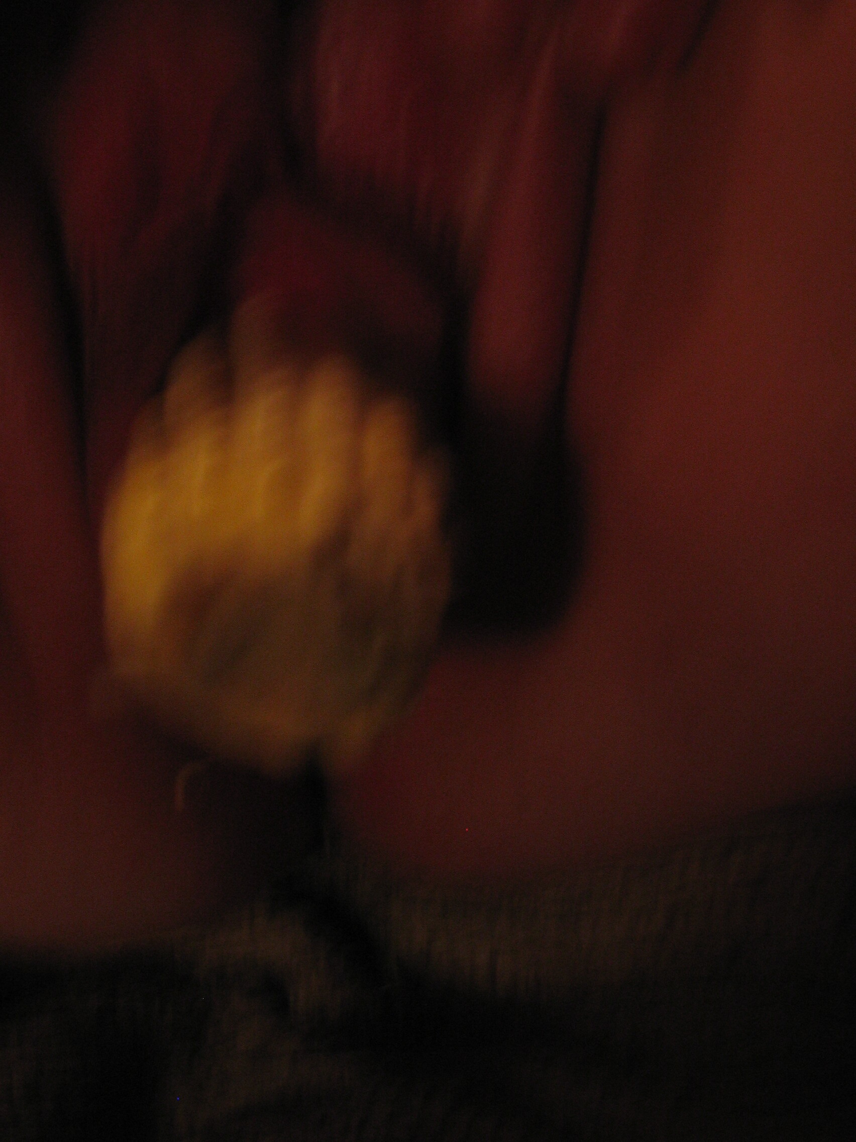 tammy with bottle and corn cobb 78