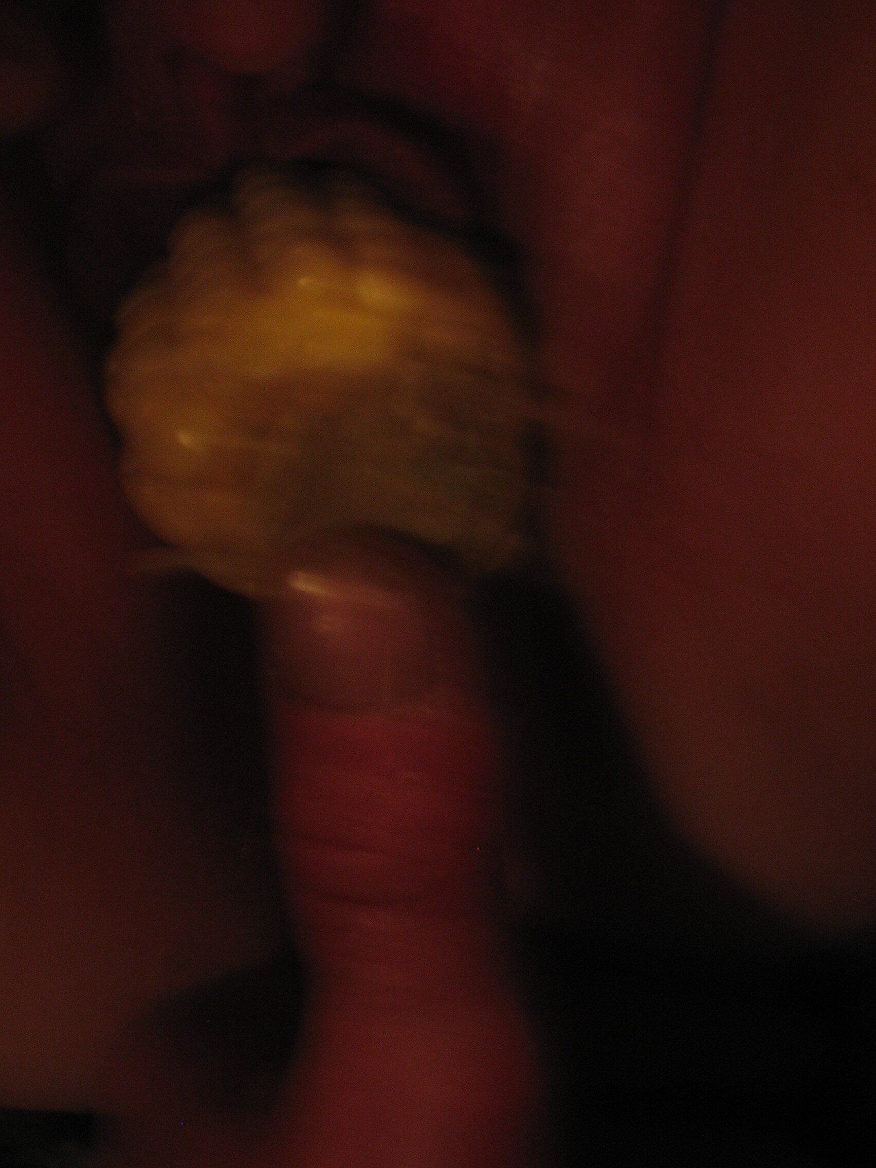 tammy with bottle and corn cobb 81