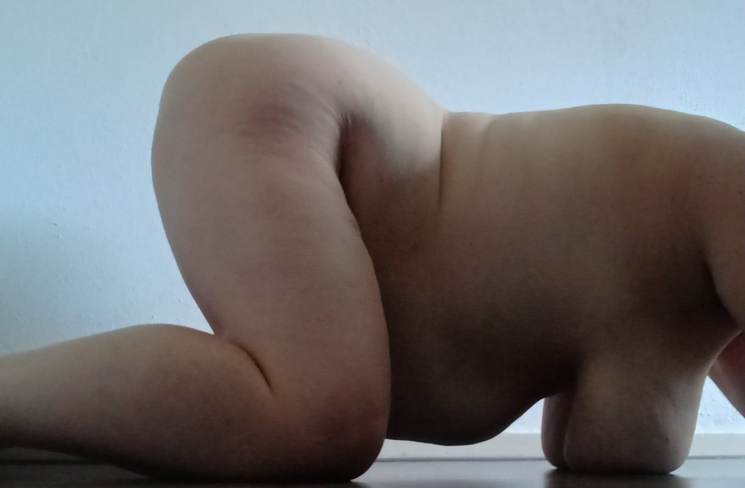 Devasa pis Hollanda domuzu ortaya çıkarıldı 2