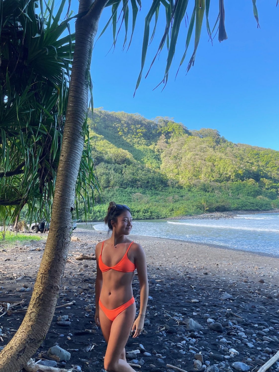 Assortimento di adorabili ganci da spiaggia 12