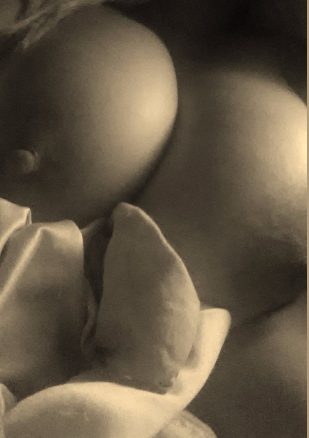 セリナの34HHブロンドMILFチットがピュアヘブン 2