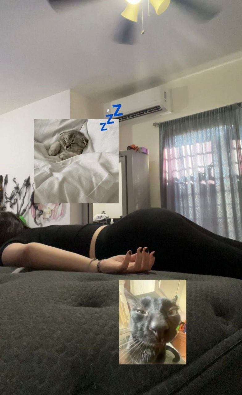 Lilbean (Lilbin lilbean31) 5