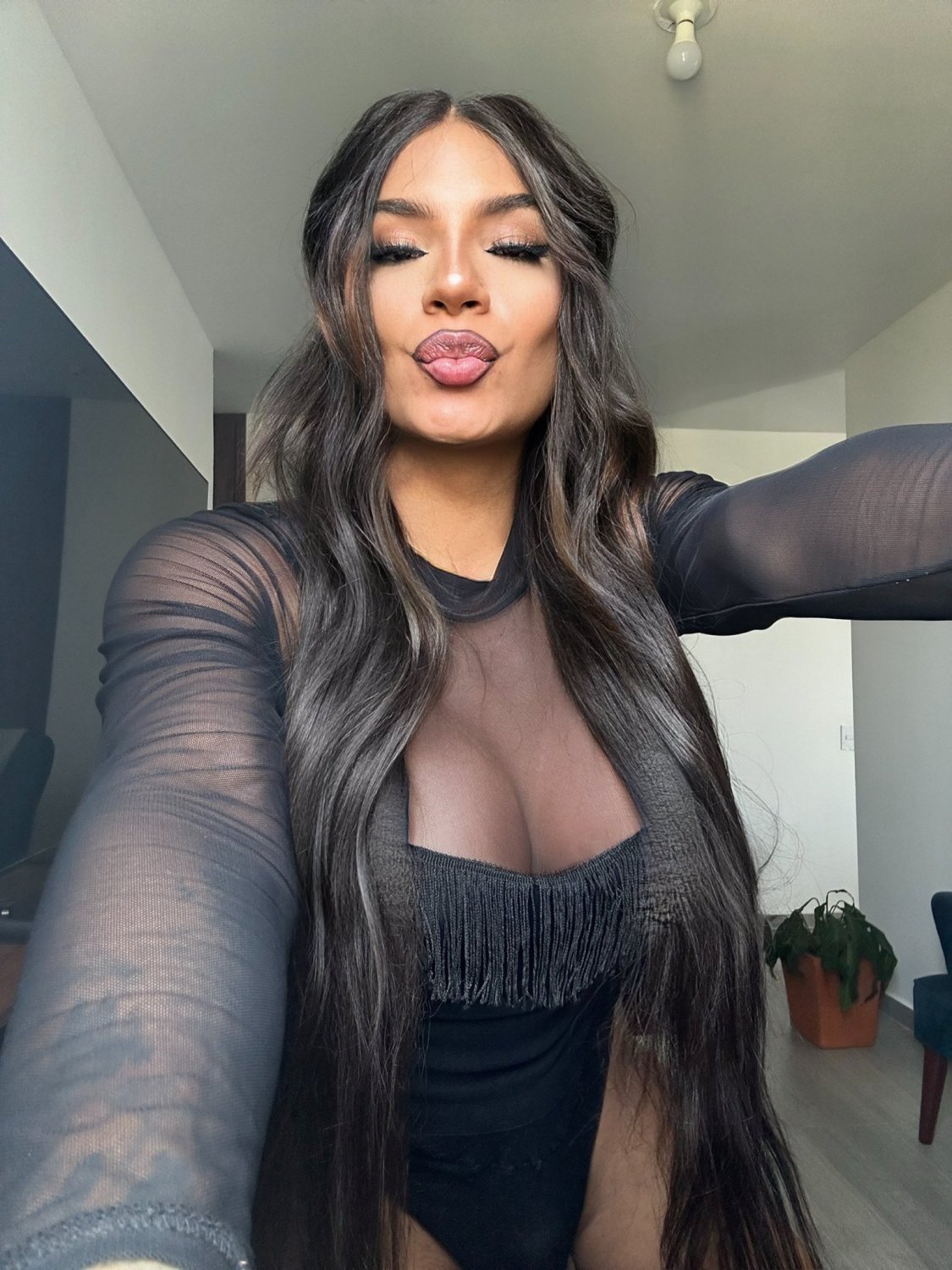 Ts Violetfinch_ / Fringuello viola 3