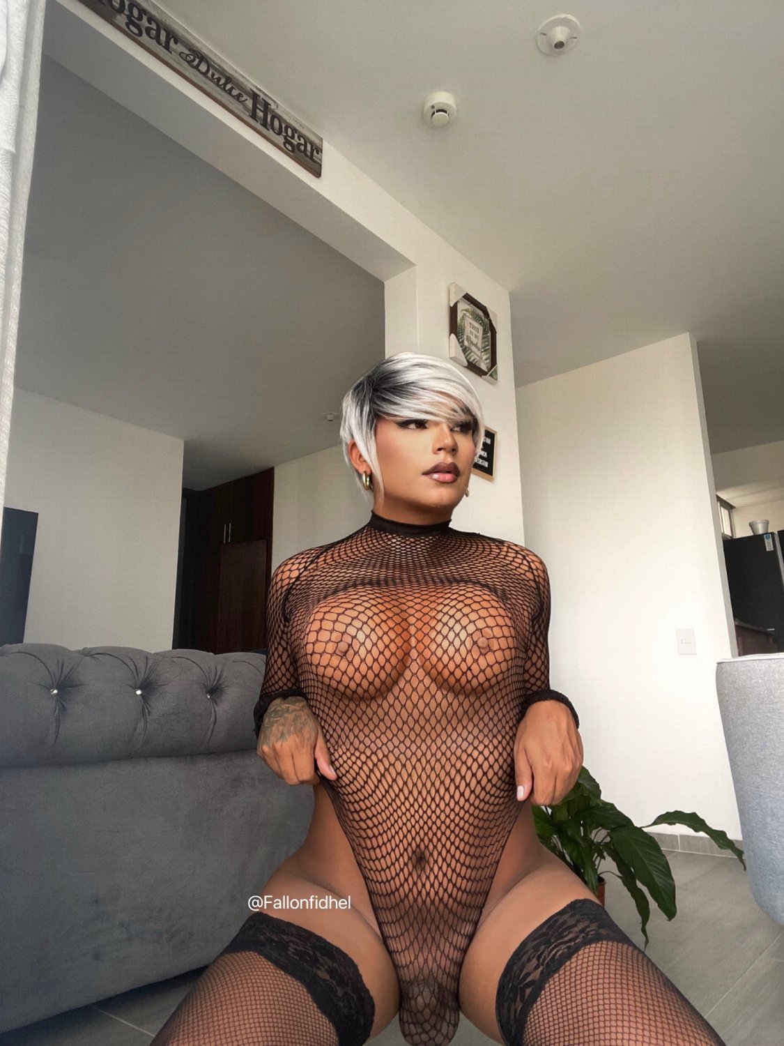 Ts Violetfinch_ / Fringuello viola 24