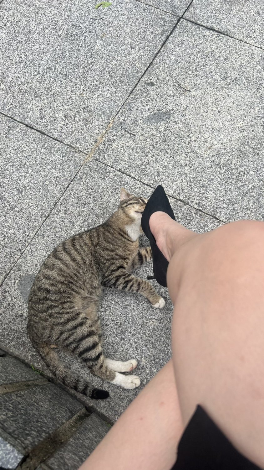 Sexy Chinese Babe Strips And Smiles For The Cam 58