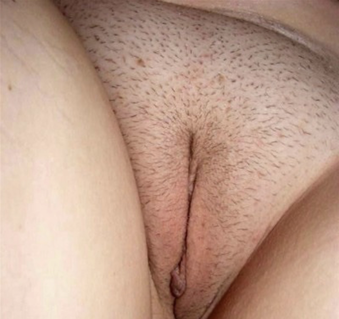 Inviato dilettante 2