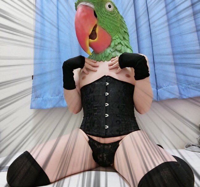 OnaDo 日本の女装家 🌈 [splendido cd trap jgurl otaku gamer nerd] 97