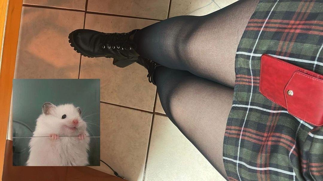 Latina Pantyhose Birds Compilation — Wild Hotness 25