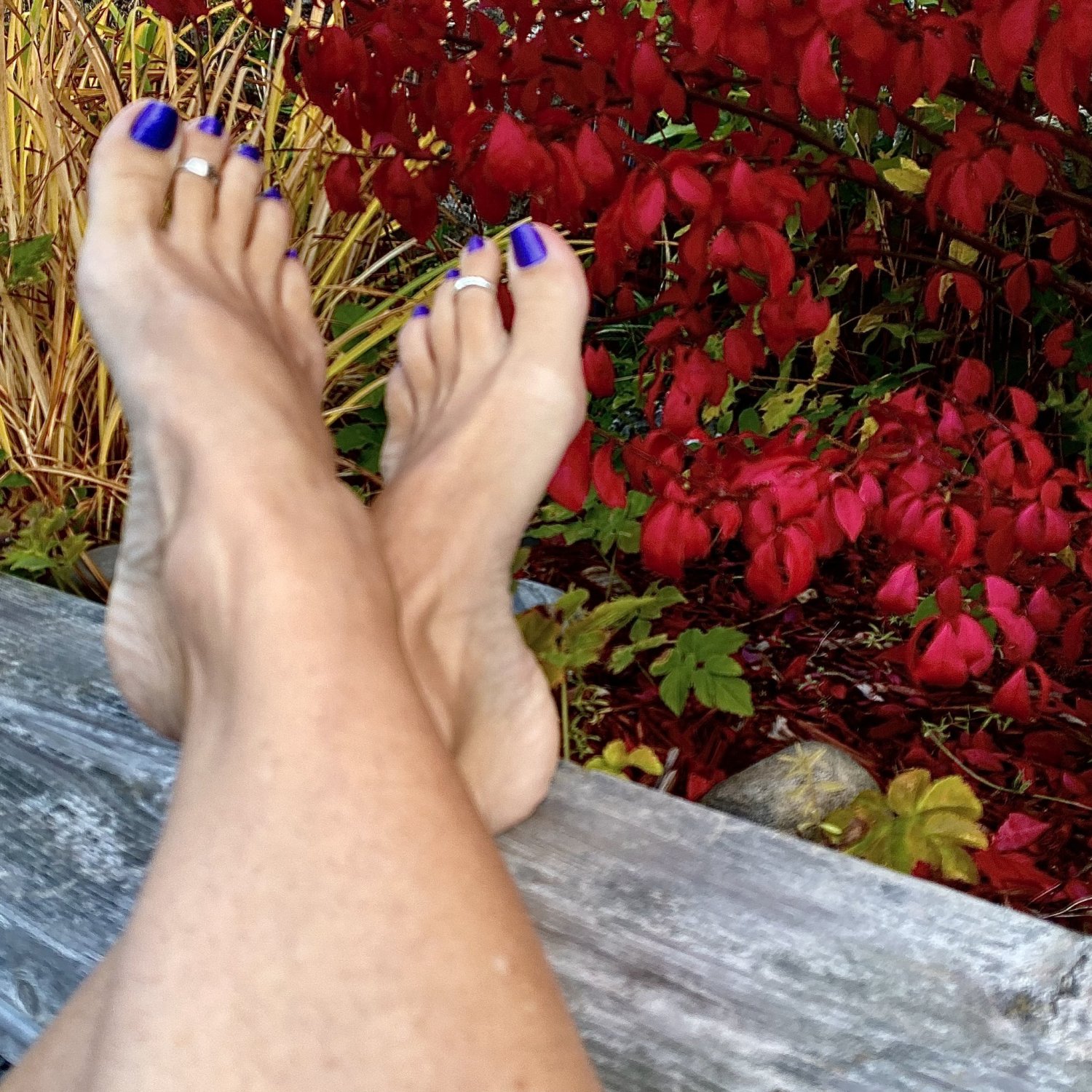 Screenshot_2024-11-08-09-47-33-32_40deb401b9ffe8e1df2f1cc5ba480b12 15