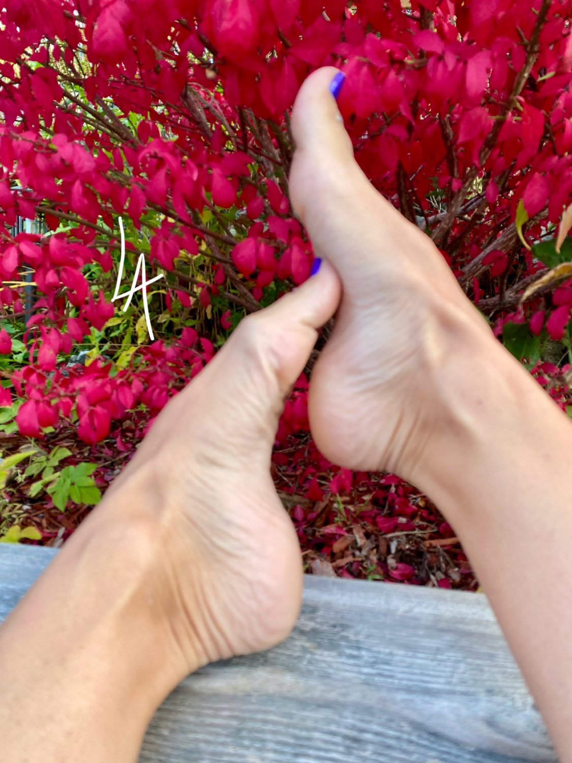 Screenshot_2024-11-08-09-47-33-32_40deb401b9ffe8e1df2f1cc5ba480b12 24