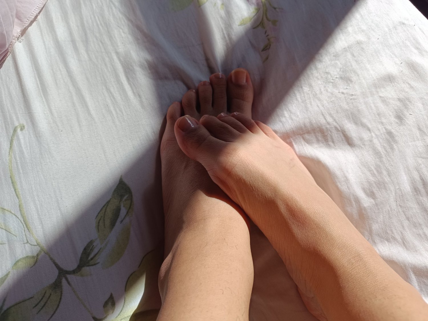 트위터 러브버드를 소개합니다. 52