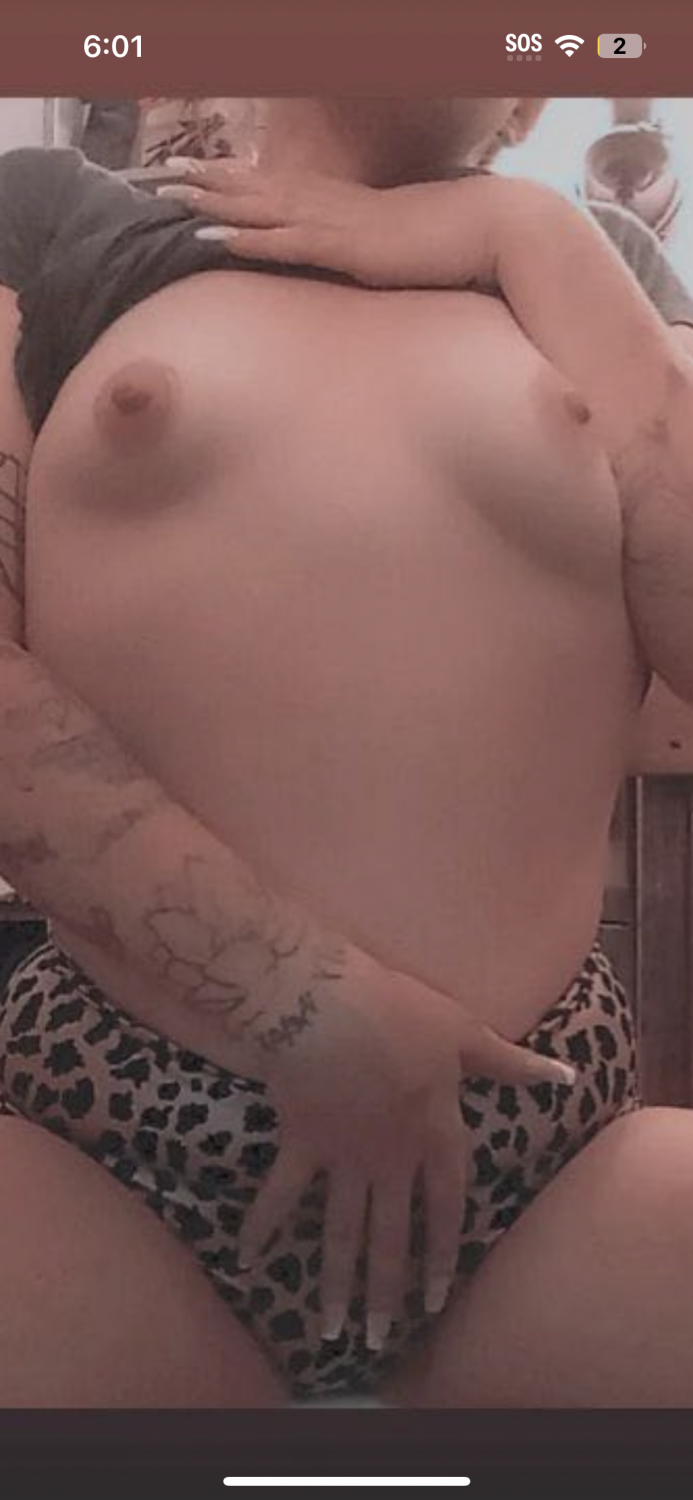 Mis perras favoritas 5