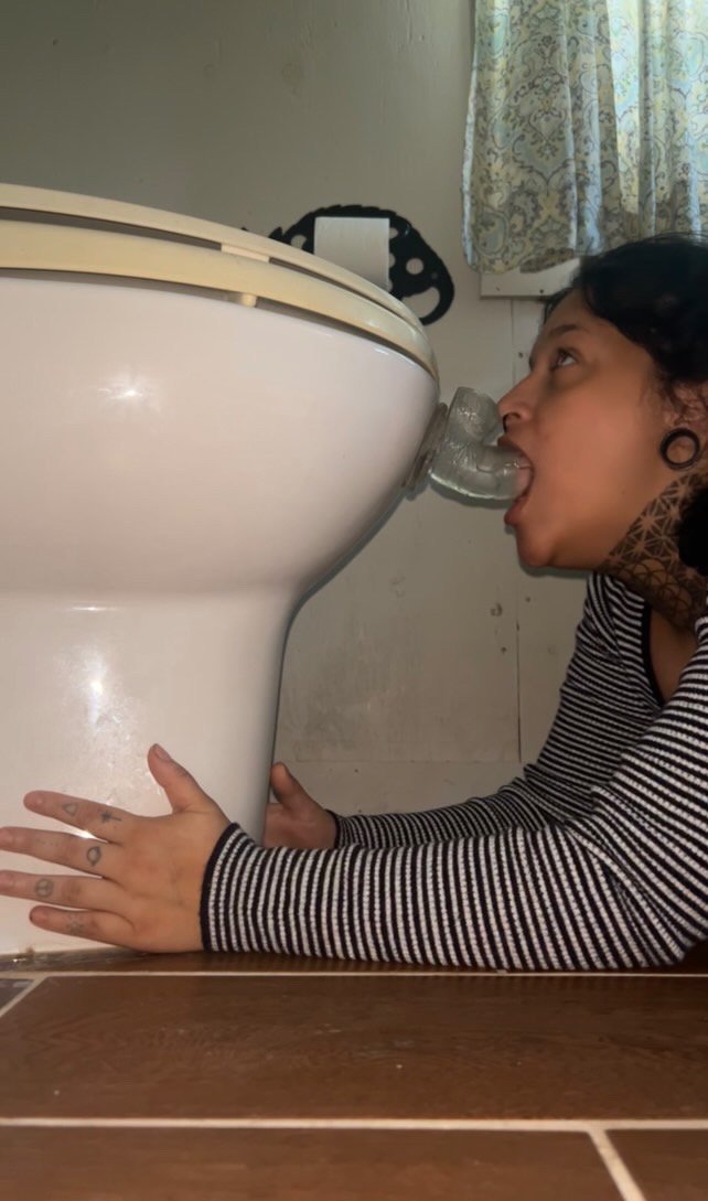 Rylie — The Ultimate Slut, Slave, And Whore Experience 6