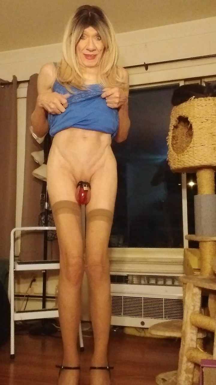 Dawniev....Shitmop 7