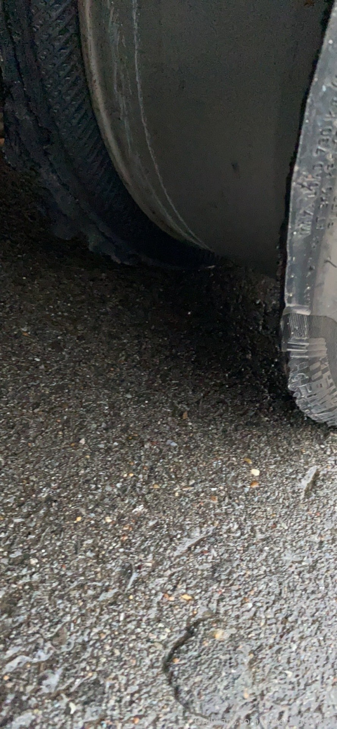 acemi amigo kısmı birkaç 11