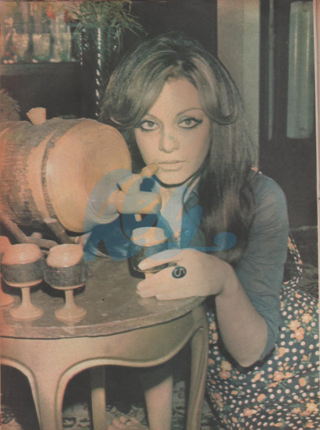Arzu Okay Türkischer Softcore Star 1970s & Andere 15