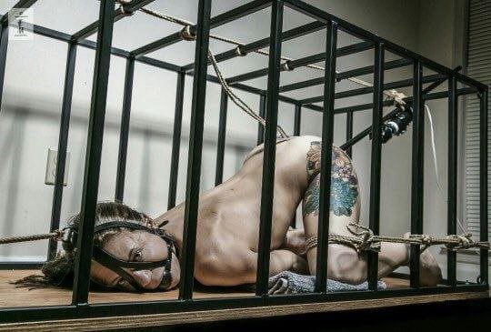 MILF And Young Girl Compilation — Extreme BDSM Torture 7