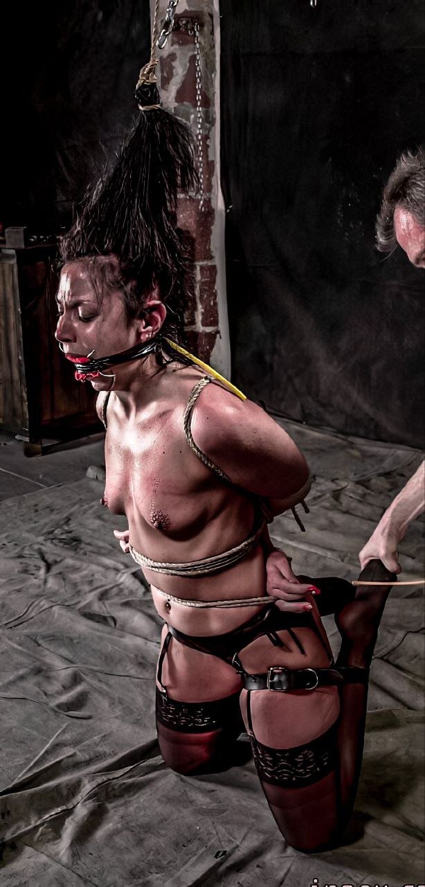 Hardcore Bdsm 5
