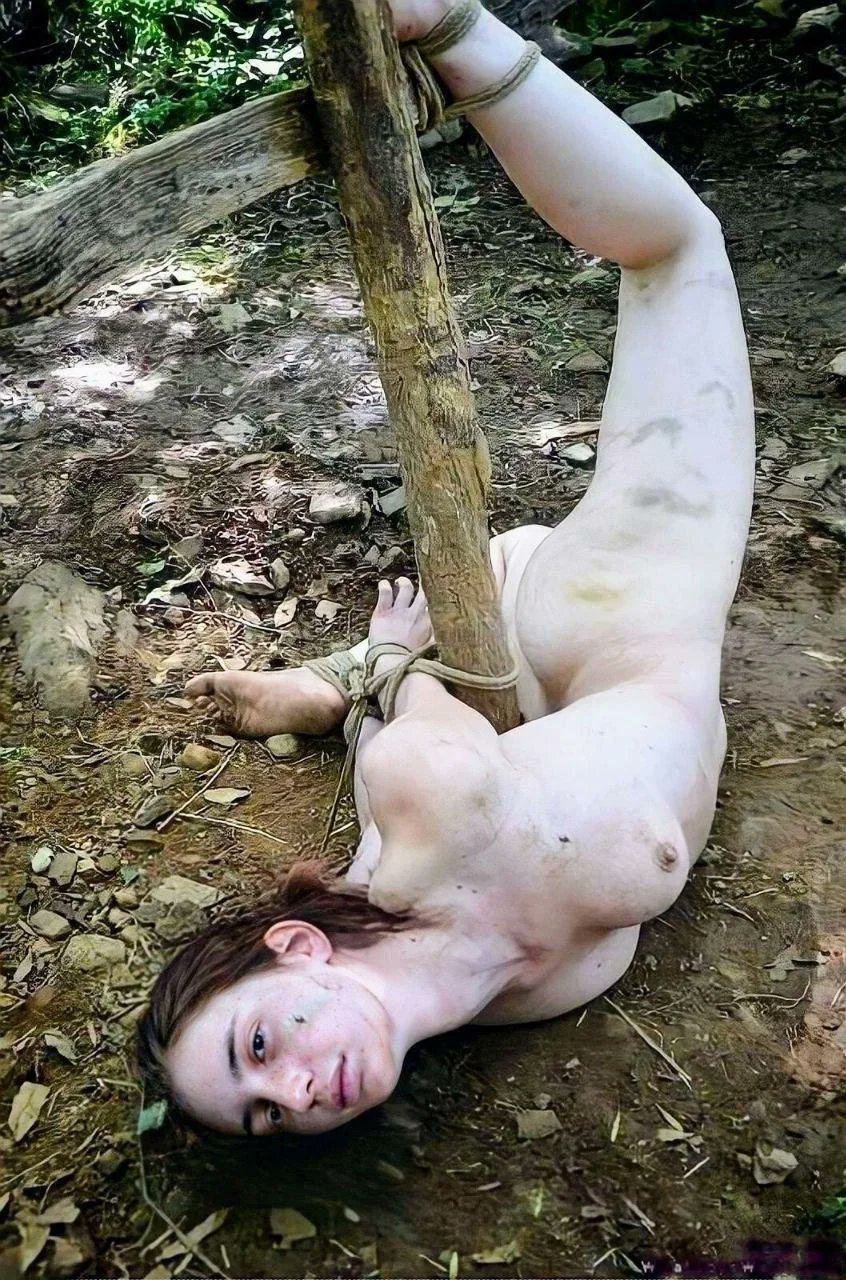 Hardcore Bdsm 29